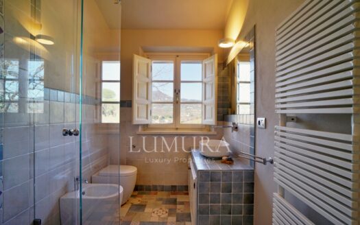 Turnkey House with Olive Grove