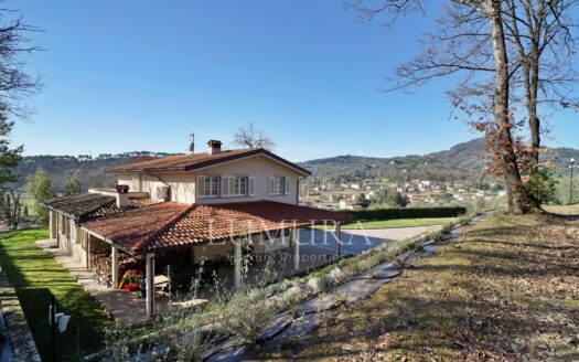 Turnkey House with Olive Grove