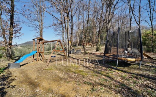 Turnkey House with Olive Grove