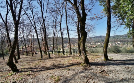 Turnkey House with Olive Grove