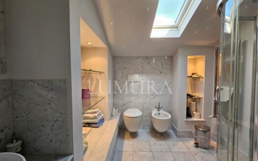 Luxurious Semi-Detached City House