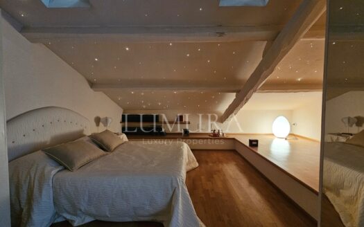 Luxurious Semi-Detached City House