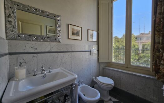 Luxurious Semi-Detached City House