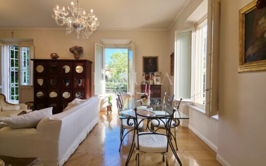 Luxurious Semi-Detached City House