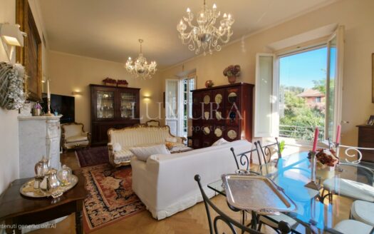 Luxurious Semi-Detached City House