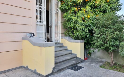 Luxurious Semi-Detached City House