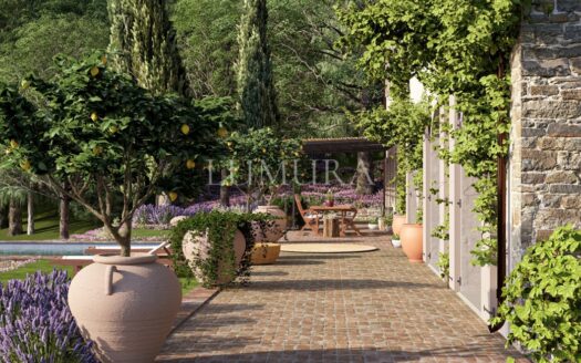 Country House Undergoing Complete Renovation