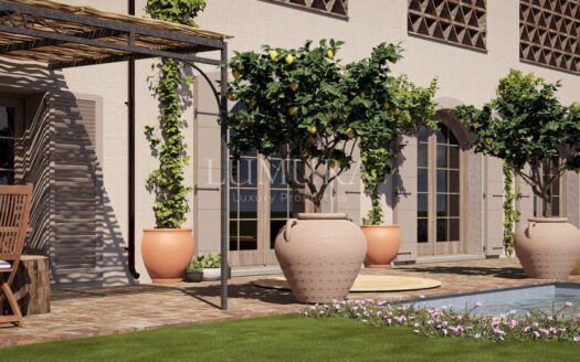 Country House Undergoing Complete Renovation