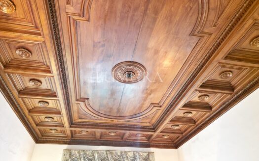 Elegant Villa with enclosed Park near Pisa