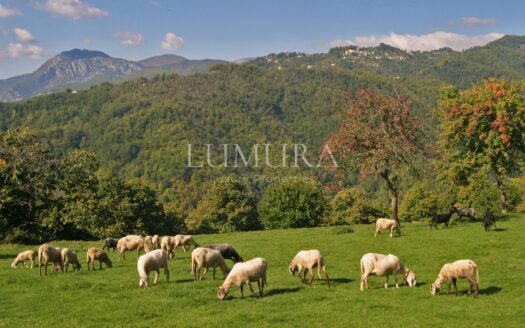 Super Panoramic Country house in Garfagnana