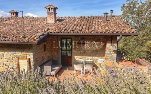 Super Panoramic Country house in Garfagnana