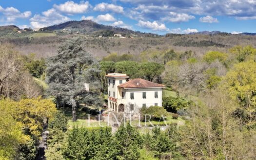 Large and Elegant Villa with Beautiful Park